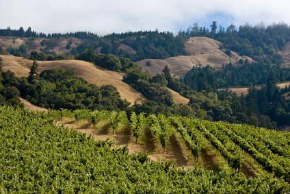 Leading wineries warn of "unimaginable" disruption from climate change
