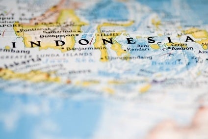 Focus - Indonesia: Prohibition in Paradise? Focus - Indonesia: Prohibition in Paradise?