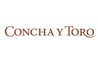 Concha y Toro closes 2021 with supply chain rebound - results data