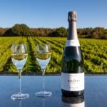 Henkell Freixenet jumps the Channel with Bolney Wine Estate buy