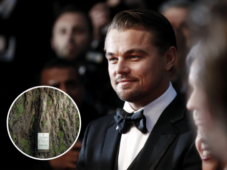 Leonardo DiCaprio joins Rémy Cointreau at Champagne Telmont