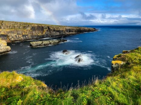 Scotch whisky exports climb in 2021, but still shy of pre-pandemic levels - figures Scotch whisky exports climb in 2021, but still shy of pre-pandemic levels - figures