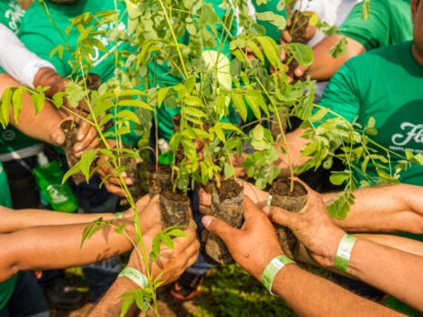Flor de Caña Rum Launches Global Campaign to Plant 70,000 Trees in 2022