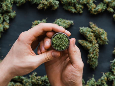 Constellation Brands defends Canopy Growth Corp cannabis venture Constellation Brands defends Canopy Growth Corp cannabis venture