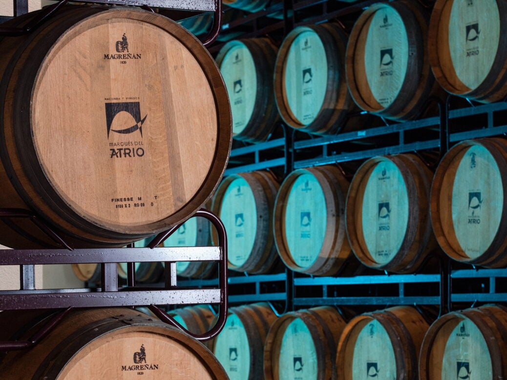 Grupo Marqués del Atrio wine cellar