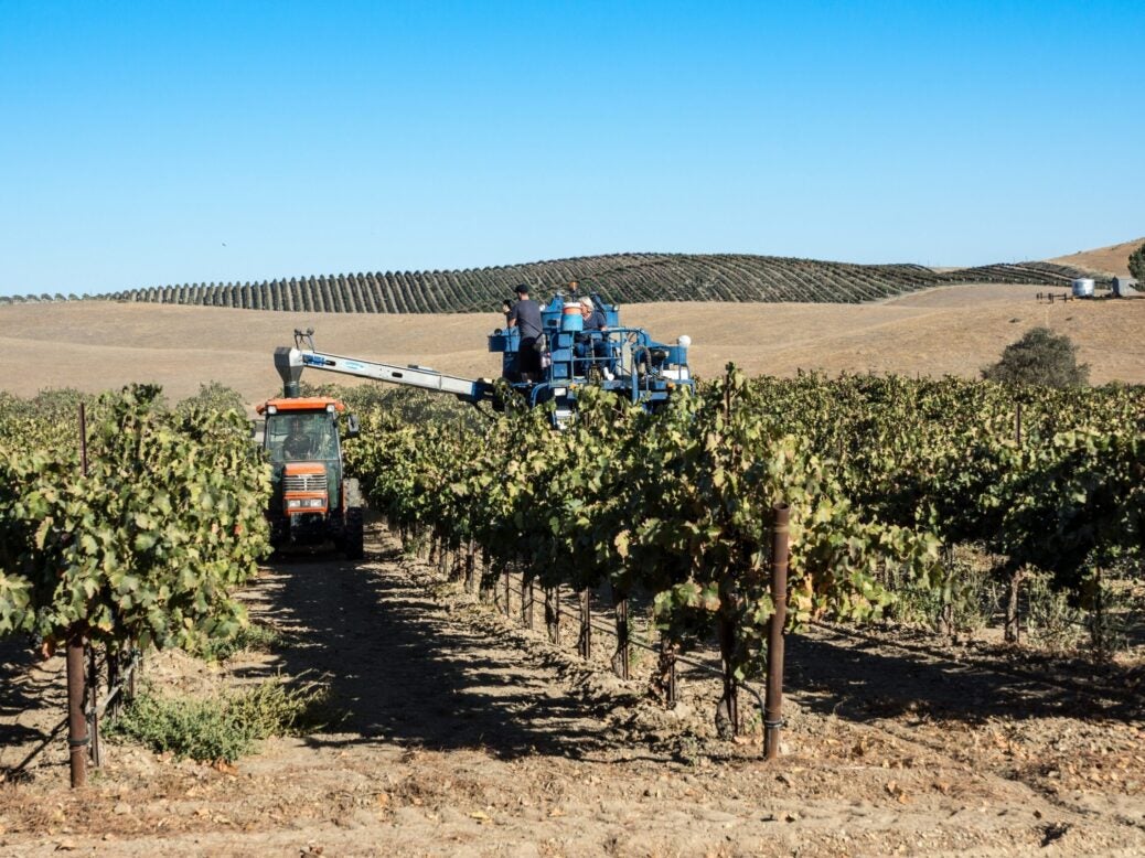 Vineyard at winery in Paso Robles, California, amid severe drought. Global heating is causing concern throughout wine’s New World