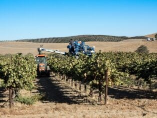 Global heating should make wine industry rethink relationship with water