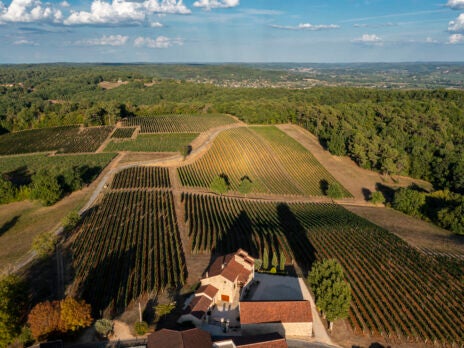 Gérard Bertrand buys French organic wine estate
