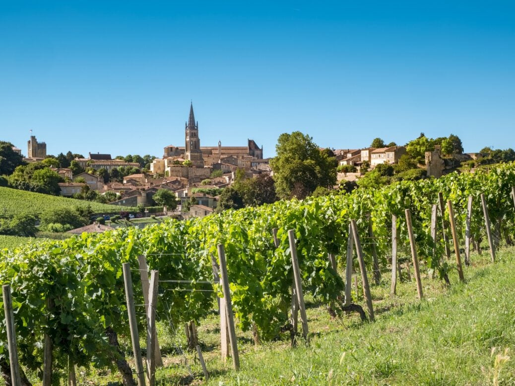 Bordeaux vineyards