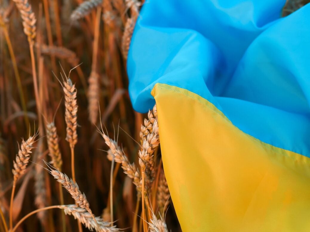 Flag of Ukraine laying on wheat
