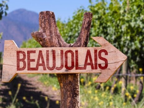 Beaujolais needs a brand. Could a label like Penfolds be the answer?