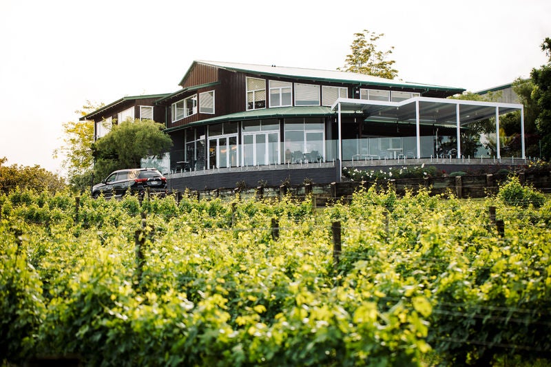 Family-run winery Babich Wines's cellar door in Aukland, visible through the vines