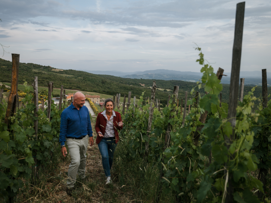 Il gruppo vinicolo italiano Leon Allato acquista la tenuta toscana Toumani