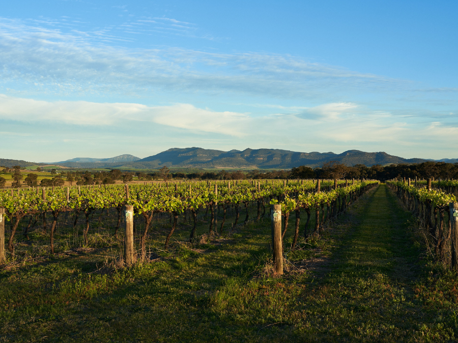 Australia Wine