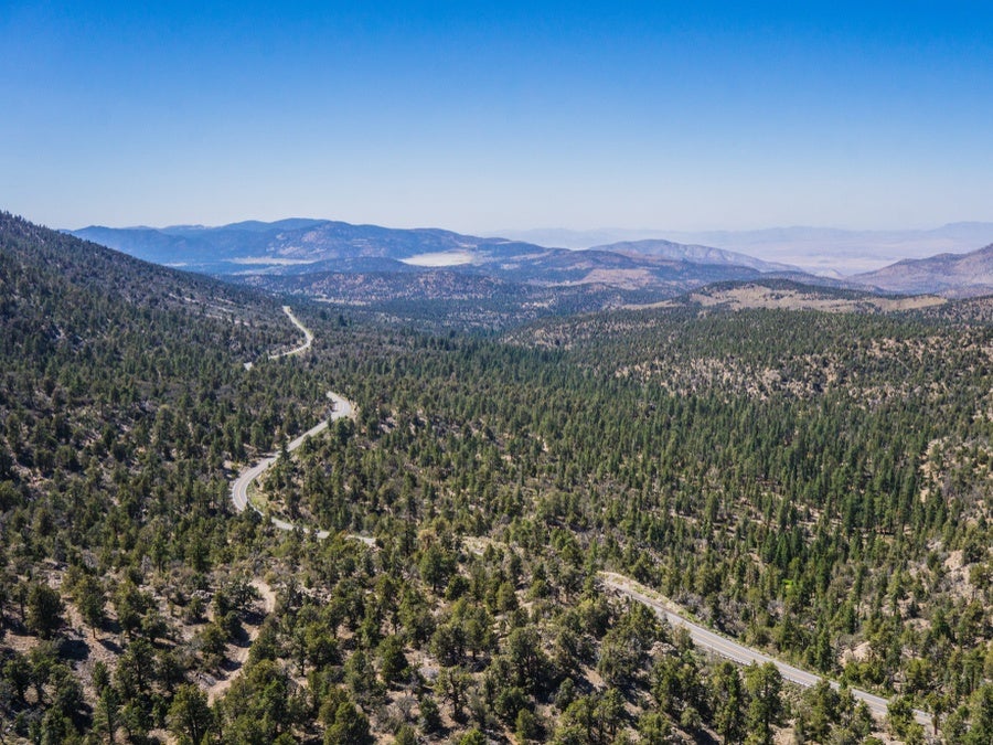 Winding asphalt road in the hills of the California wilderness of San Bernadino National Forest, where BlueTriton sources water
