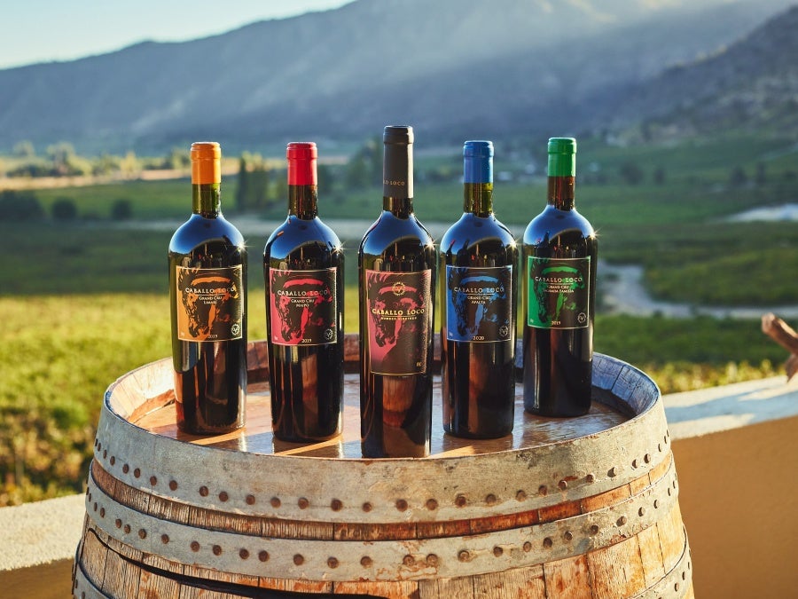 Range of Caballo Loco wines on top of a barrel in Chile with mountains in background