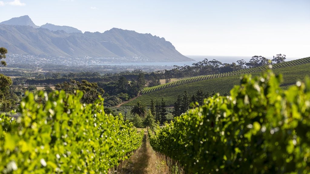 Journey’s End vineyard