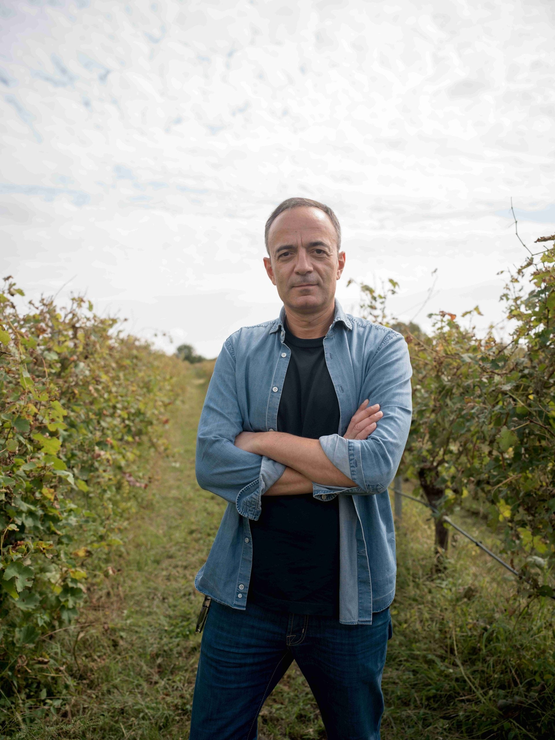 “We want to direct our wines to the world’s top ten wine markets” – Georgia wine group Tbilvino