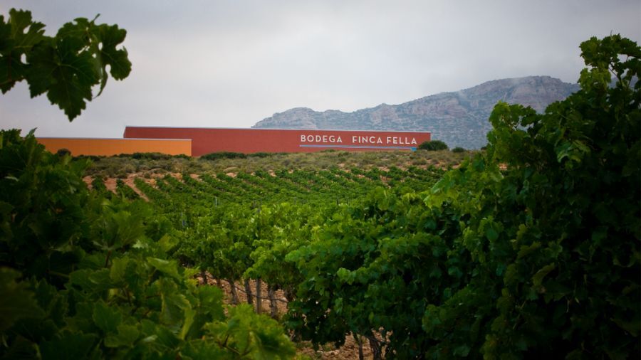 Italy’s Fantini buys Venta la Vega to boost Spain wine output