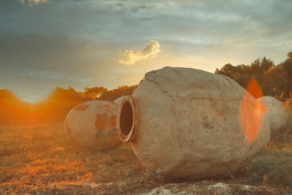 Qveris in a field. Credit: Tbilvino