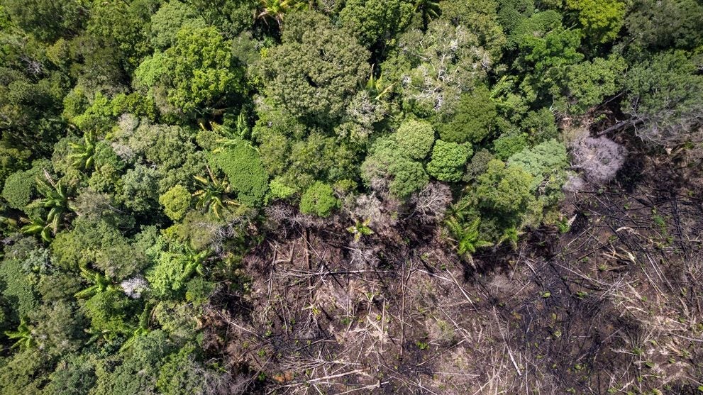Brazil judge ‘suspends move to halt soy moratorium’