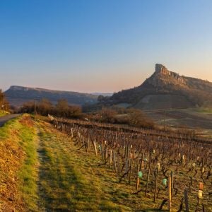 Roadside vineyards with the Rock of Solutre at sunrise in Bourgogne, France