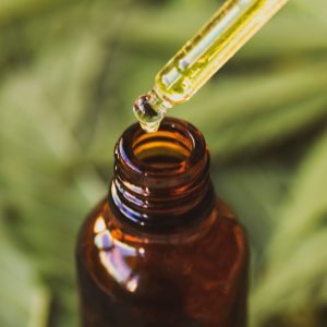 Dosing CBD. Drop of hemp based pharmaceutical CBD oil with blur background of cannabis marijuana leaves